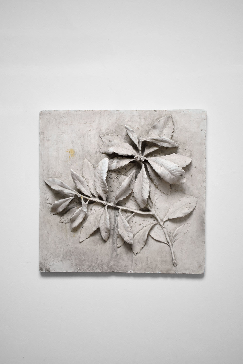 Low relief plaster with floral pattern, 1920s.